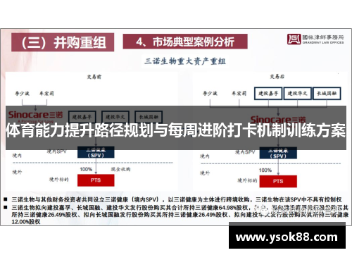 体育能力提升路径规划与每周进阶打卡机制训练方案